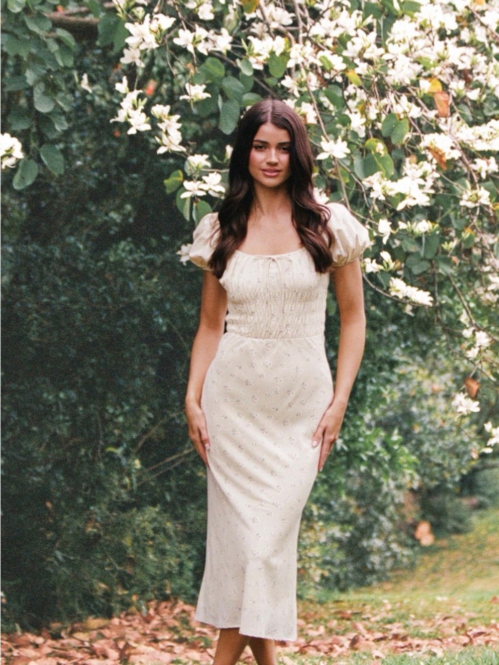 Petal & Pup Teigan Cream/Yellow Midi Dress with Puff Sleeves